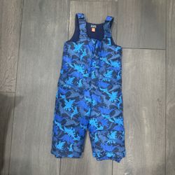 The Children's Place Dinosaur Snow Overalls & Jacket Set Size 2T