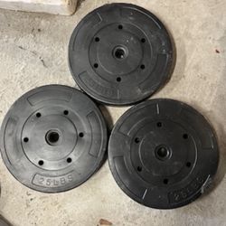 75 Lbs Weights 