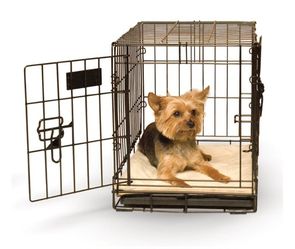 Small Dog Kennel