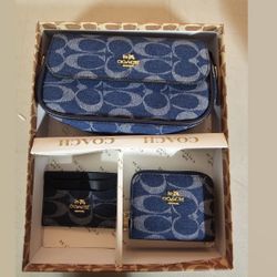 Denim Bag Set Of 3 
