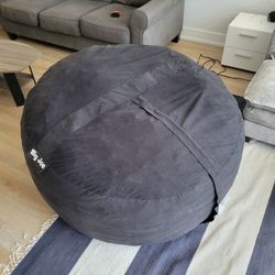 Big Joe 4ft Bean Bag Chair
