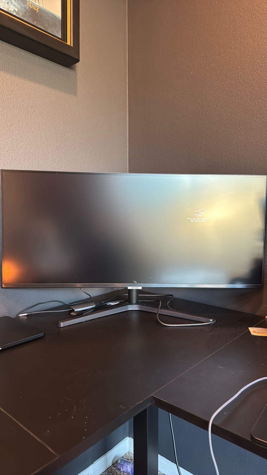 34 In Samsung Monitor
