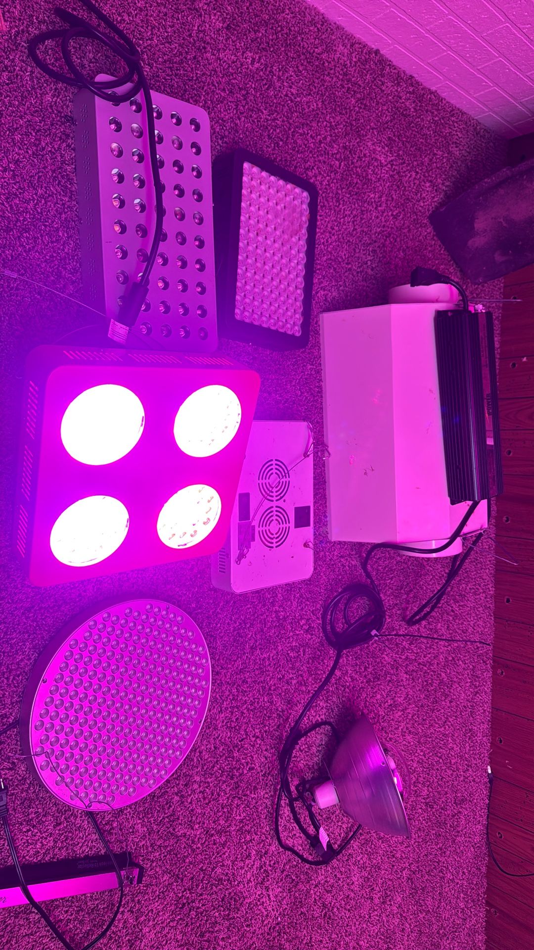 Plant Lights