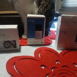 Ring Security Cameras