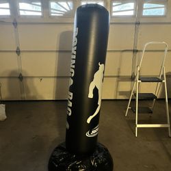 Inflatable Punching Bag