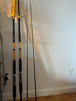 Pair of NEW 10ft Ugly Stik Bigwater Spinning Rods (2-Piece)