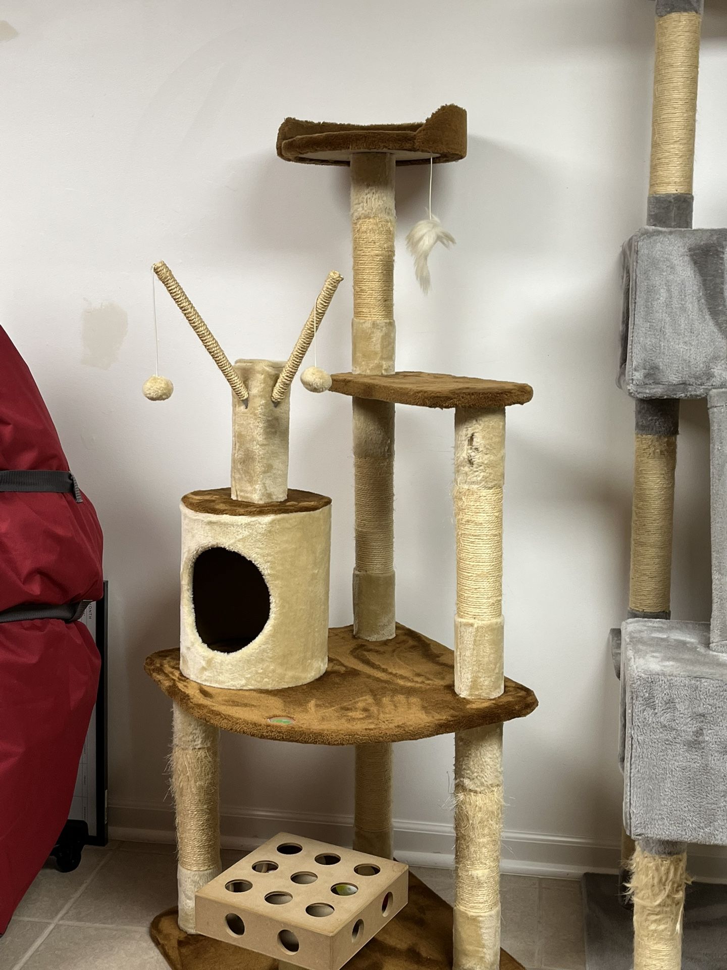 Cat Scratcher