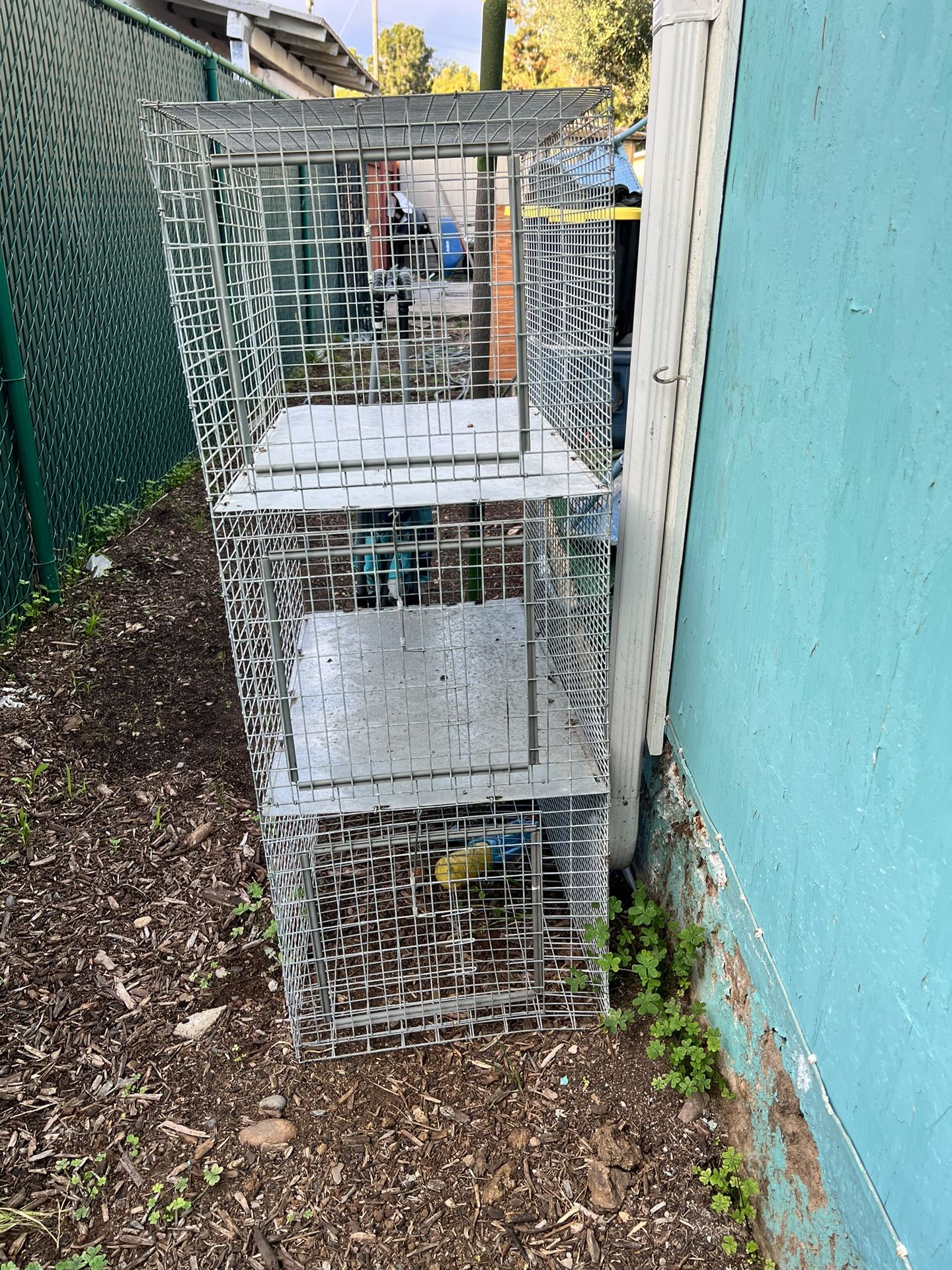 Rooster/rabbit Cage