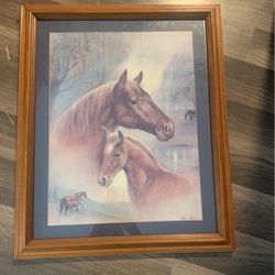 1995 Horse Picture 
