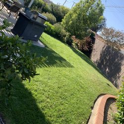 Garden maintenance