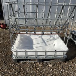 horse, cattle , sheap feeder farm