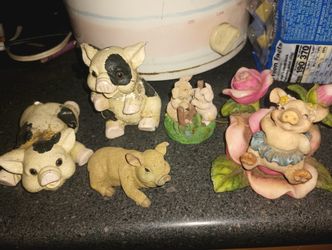 Pigs