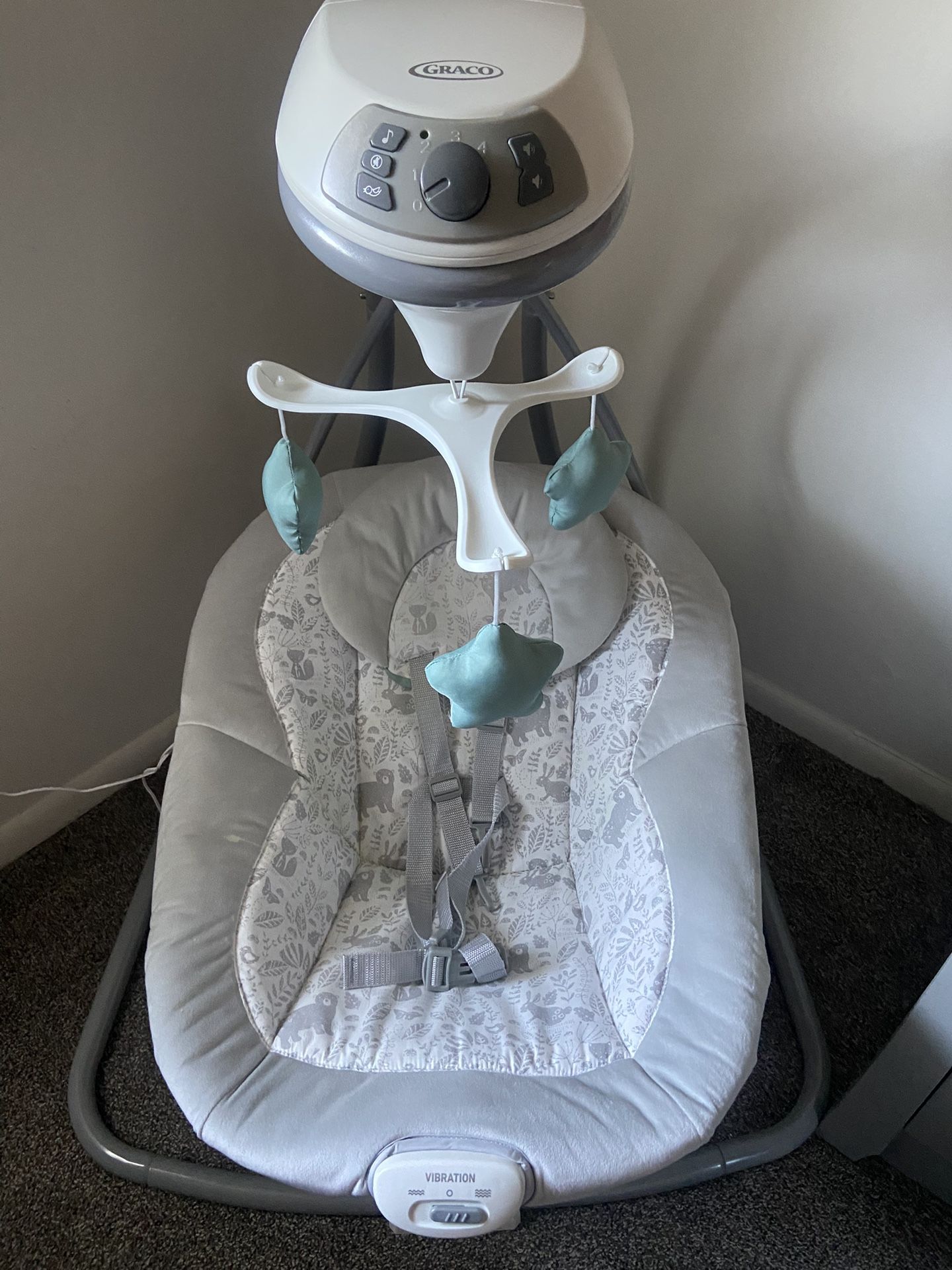 Graco Baby Swing