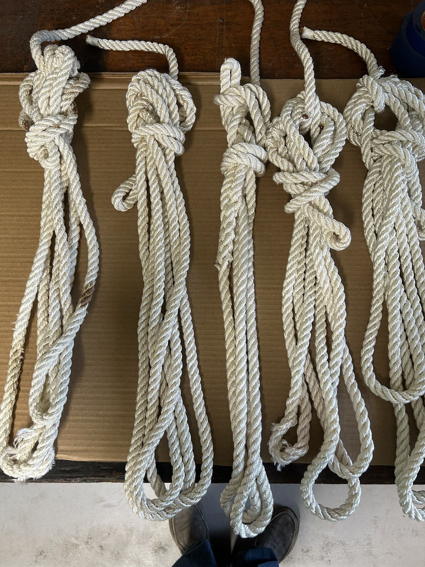 5 White Dock lines