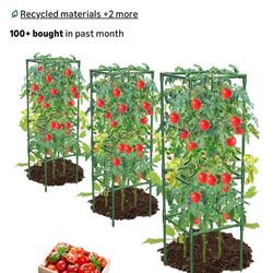 Tomato Cages For Garden