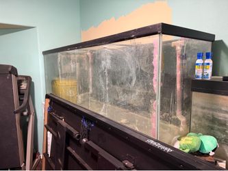 260 Gallon Glass aquarium