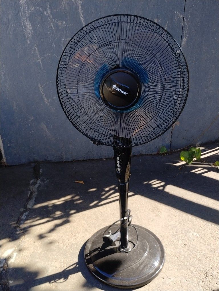 Fan With Remote