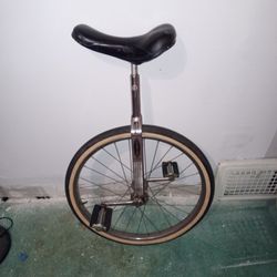 Vintage Schwinn 24in. Unicycle 