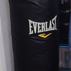 Everlast Heavy Punching Bag With Gloves