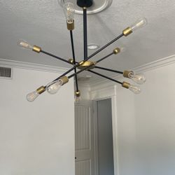 Light Fixture 