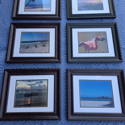 15"  × 18" Framed PICTURES 
