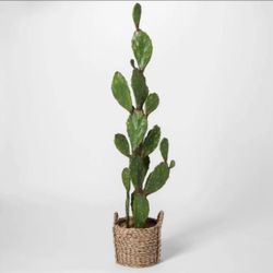 Faux Artificial Cactus Succulent 5 Feet Tall