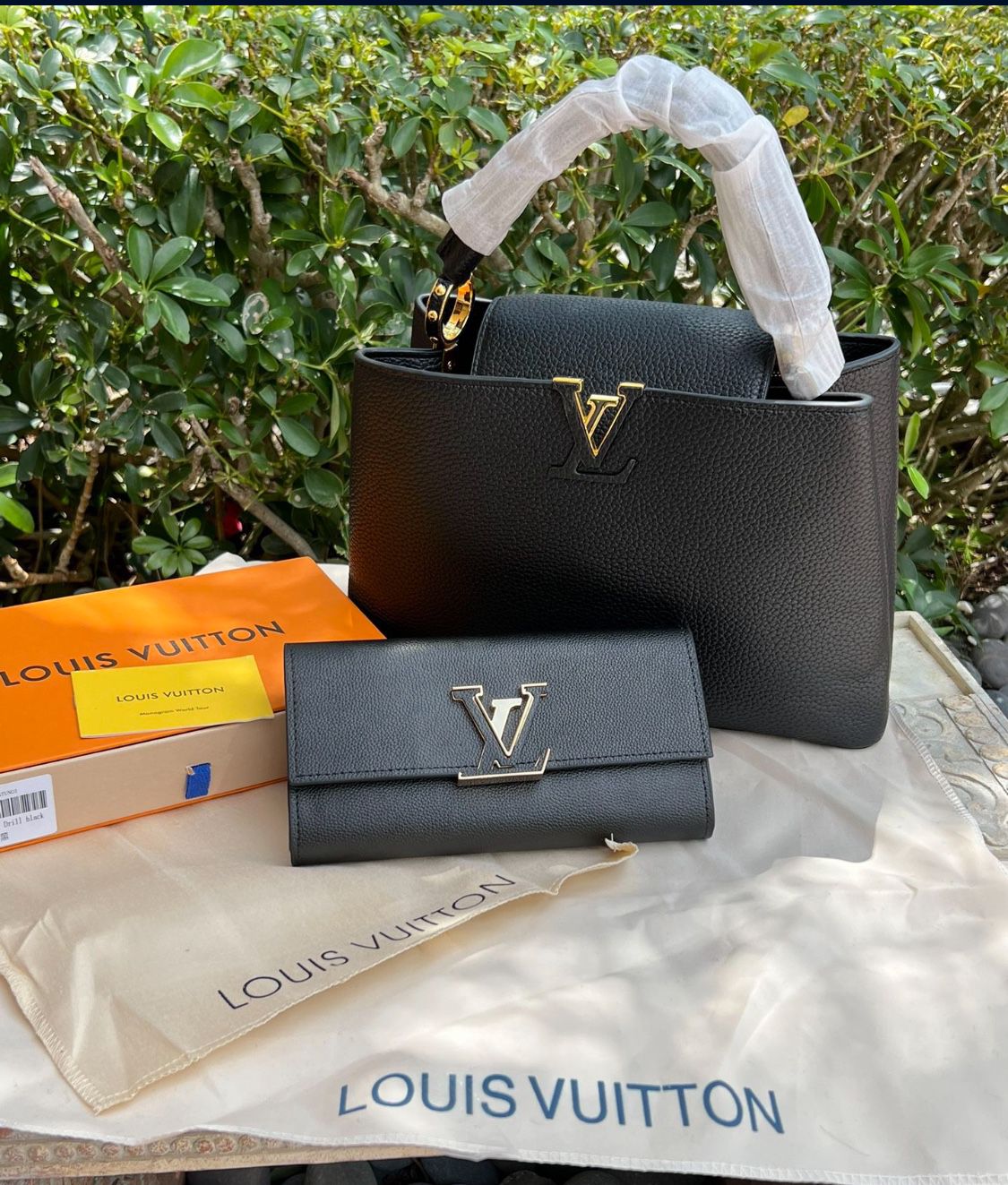 LV Capucine Bag And Matching Wallet