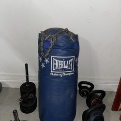 Punching Bag 45 pounds