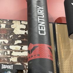 Punching Bag