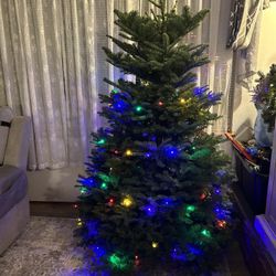 Christmas Tree ( Fresh )