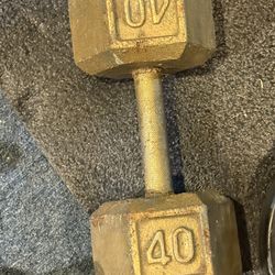 40lb Dumbbell 