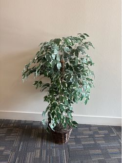 Planta artificial