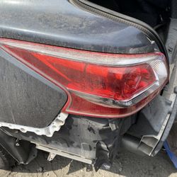 2014 Altima Leat Taillight