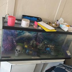 Fish Tank For Sale