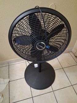 Lasko