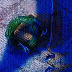 Spiral Dog Stack For Grounding With The 50 Foot Cord For Your Dog ! 