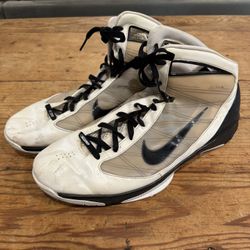 Nike Hyperize Flywire 2009