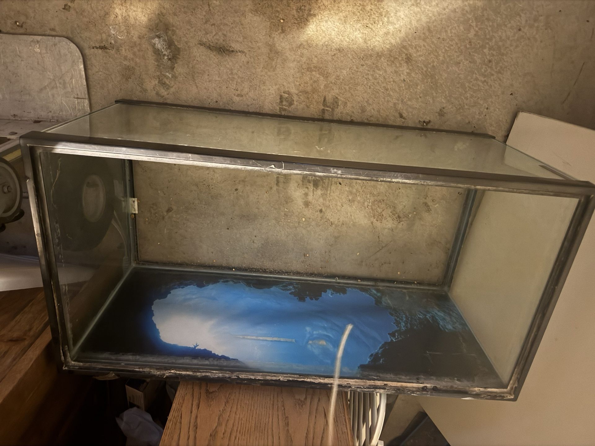50gal Fish tank