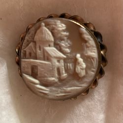 Vintage Covered Shell House Cameo