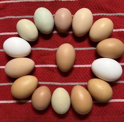 Farm Fresh Eggs