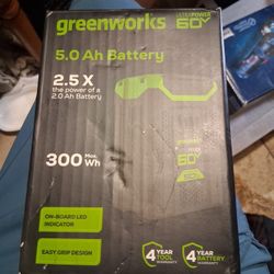 Greenworks Battery 