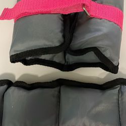 Bally Total Fitness ankle weights