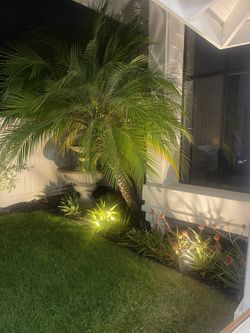 Lots Of Plug In Spotlights Outdoor Lighting