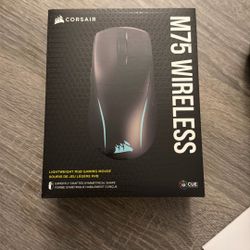 Sealed PC Mouse