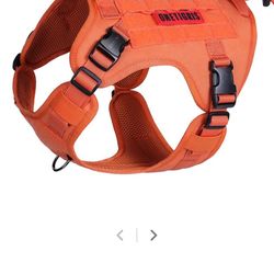New Dog harness 