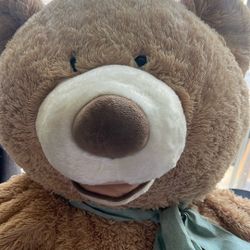 Big Teddy Bear