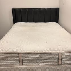Bed Frame, Box Spring, Mattress 