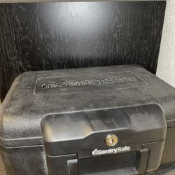 Mini Safe 