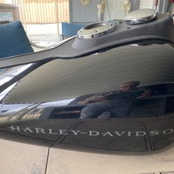 Harley Davidson Parts Dyna