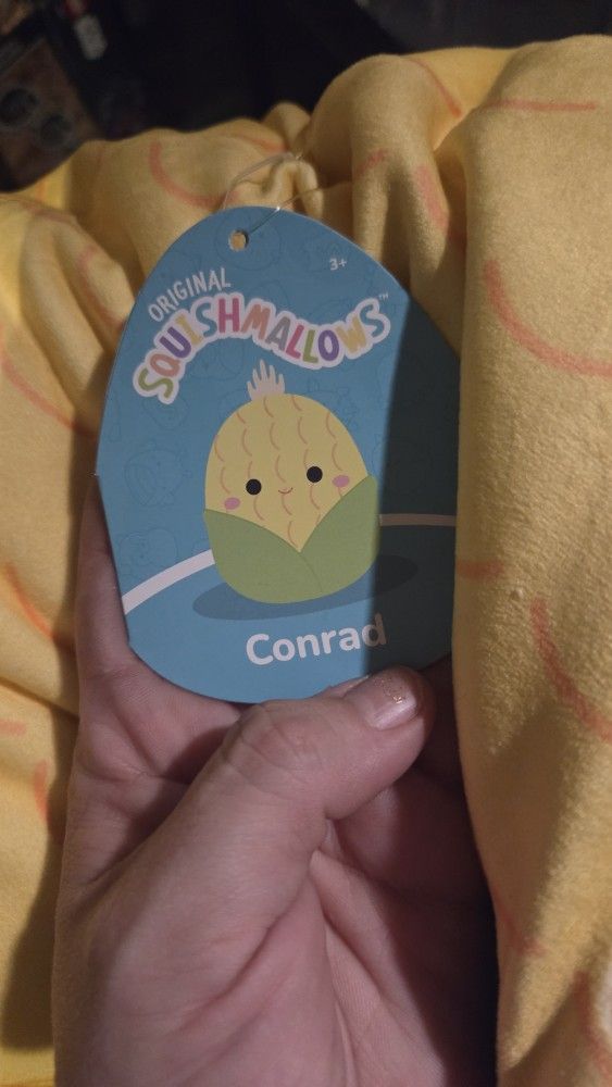 Squishmallow Brand New